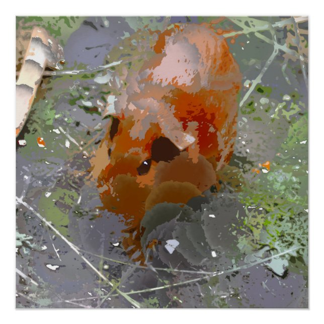 Crazy Paint - Guinea Pig Poster (Front)