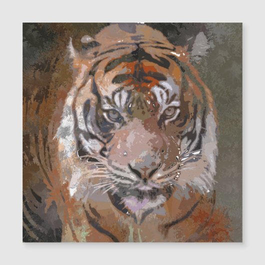 Crazy Paint - Tiger (Front)