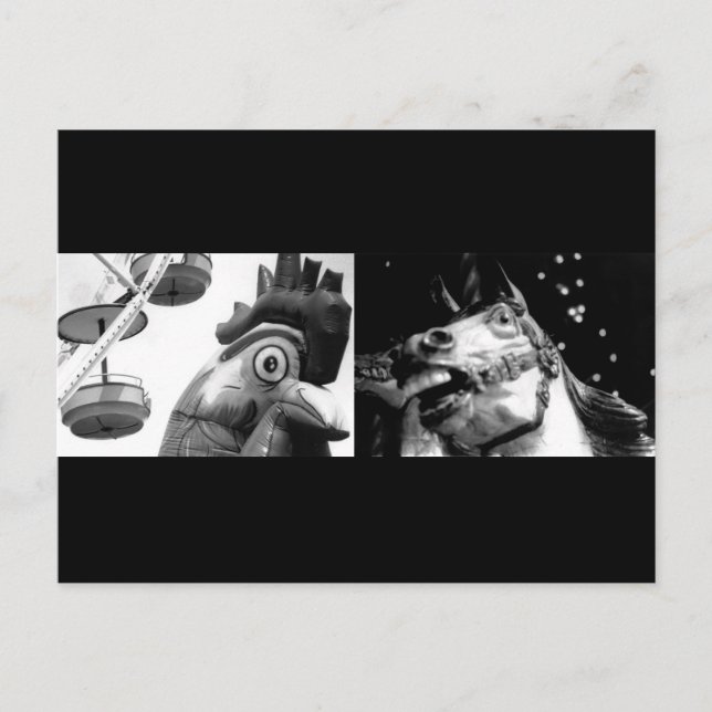 Crazy Rooster, meet Crazy Horse Postcard (Front)