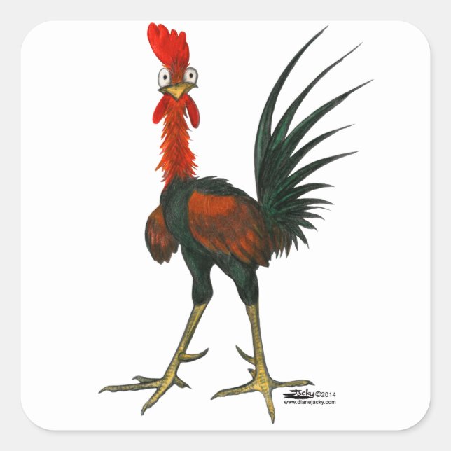 Crazy Rooster Square Sticker (Front)
