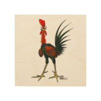 Crazy Rooster
