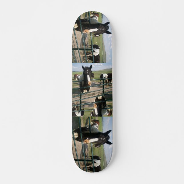 CrAzY Sk8 Horse Skateboard Deck (Front)