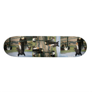 CrAzY Sk8 Horse Skateboard Deck