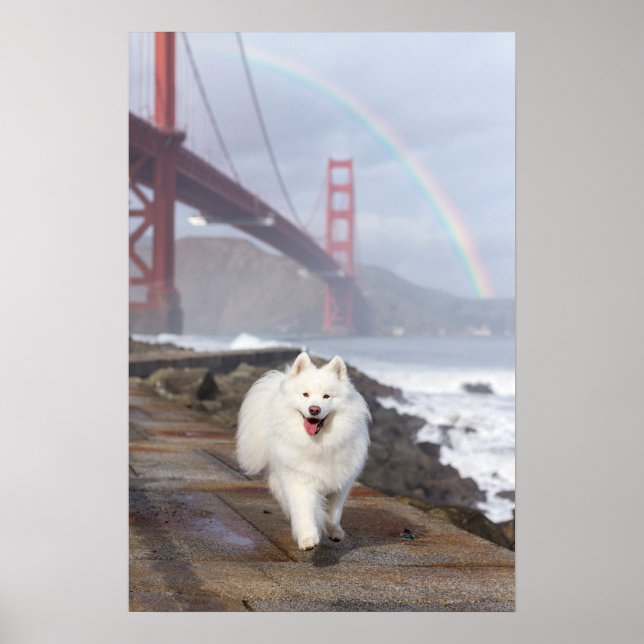 CRB Rainbow Bridge Poster (Front)