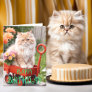Cream and Ginger Tabby Cat in Red Wagon Birthday Card