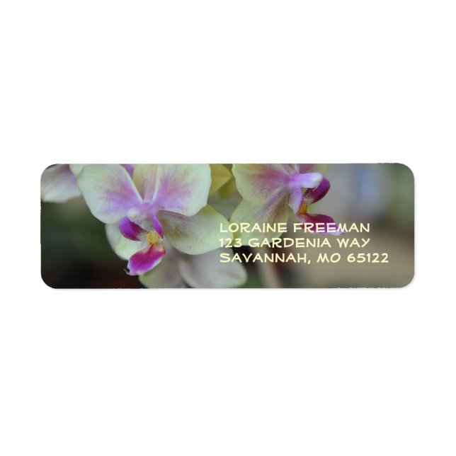 Cream and PInk Orchid Label (Front)