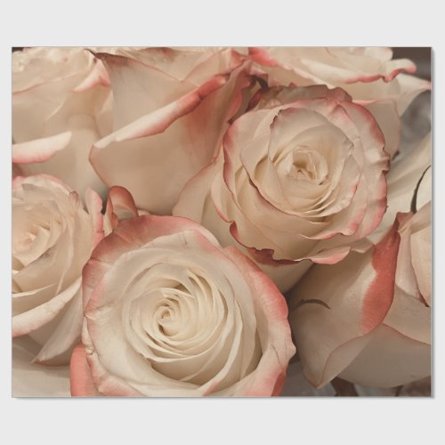 Cream and Red Tipped Roses Matte Wrapping Paper