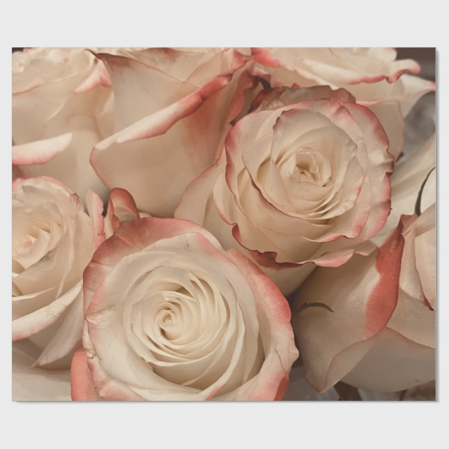Cream and Red Tipped Roses Matte Wrapping Paper (Flat)