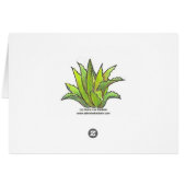 Cream and Sugar (Back Horizontal)