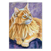 Cream Angora Cat (Front)