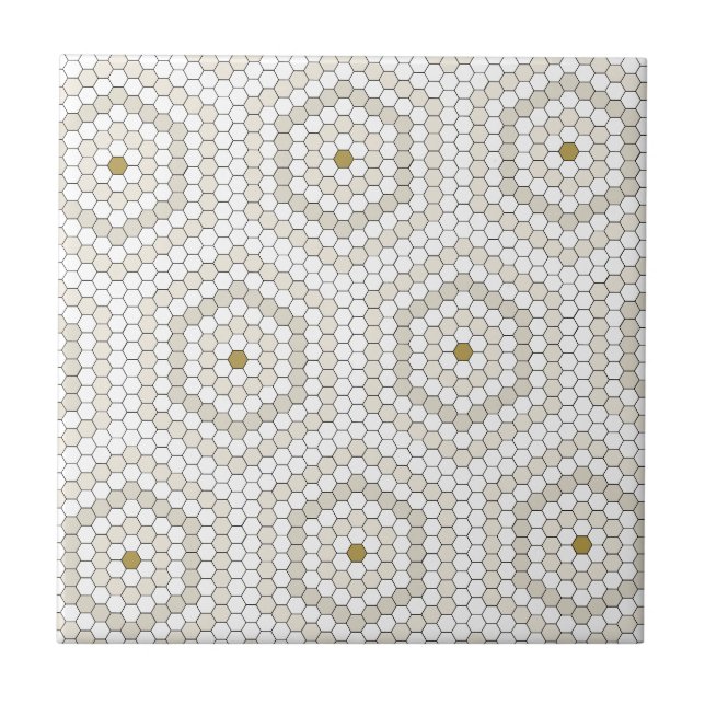 Cream & Beige Hexagon Penny Tile Hex Tile Pattern (Front)