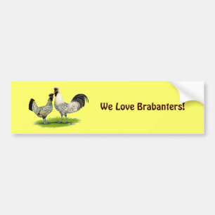 Cream Brabanter Chickens Bumper Sticker