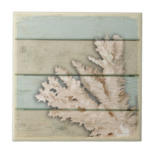 Cream Colored Coral Ceramic Tile