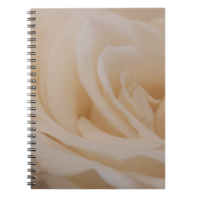 Cream Colored Rose Closeup Notebook (Front)