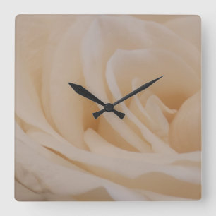 Cream Colored Rose Closeup Square Wall Clock