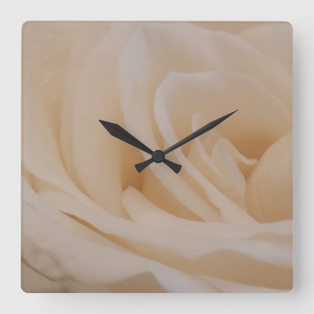 Cream Colored Rose Closeup Square Wall Clock (Front)