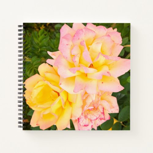 Cream flowers notebook