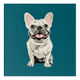 Cream French Bulldog, Acrylic Print
