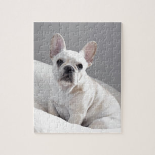 Cream Frenchie Jigsaw Puzzle