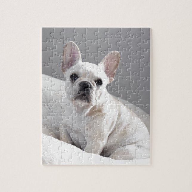 Cream Frenchie Jigsaw Puzzle (Vertical)