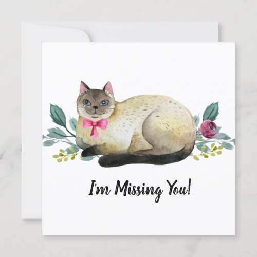 Cream Gray Siamese Cat on White Missing You