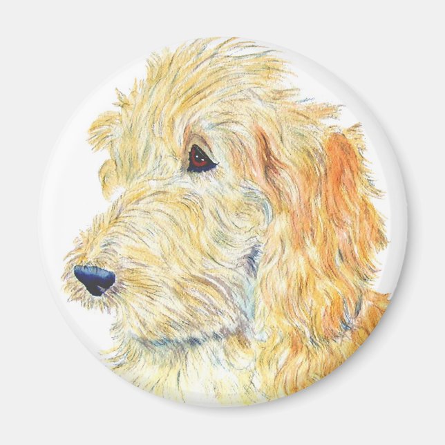 Cream Labradoodle Magnet (Front)