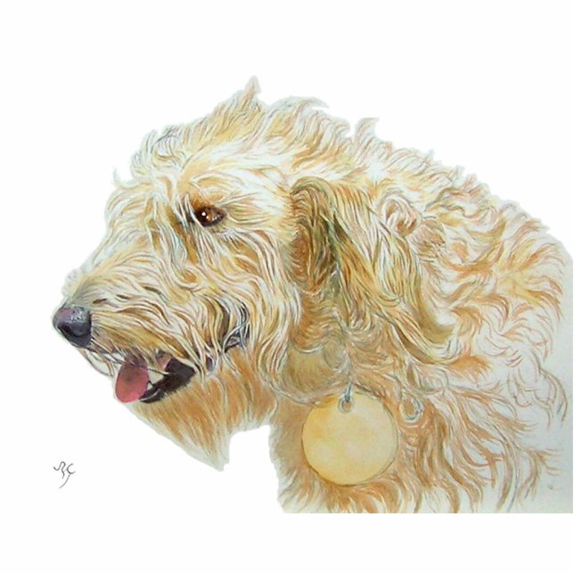 Cream Labradoodle Sculpture (Front)
