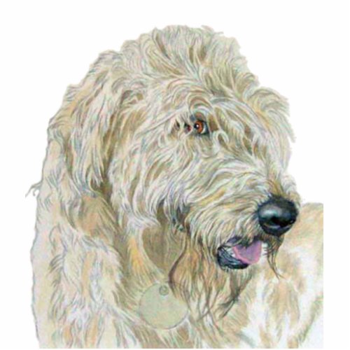 Cream Labradoodle Sculpture