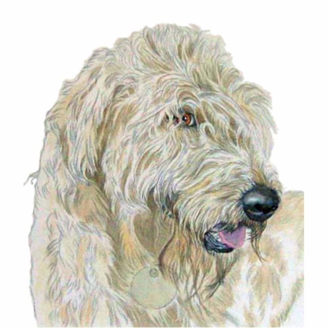 Cream Labradoodle Sculpture (Front)