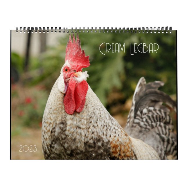 Cream Legbar 2023 Calendar (Cover)