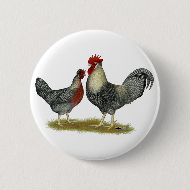 Cream Legbar Chickens Button (Front)