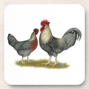 Cream, Legbar Chickens Coaster