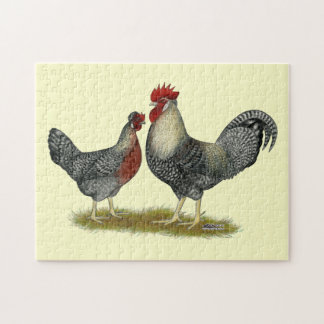 Cream Legbar Chickens Jigsaw Puzzle