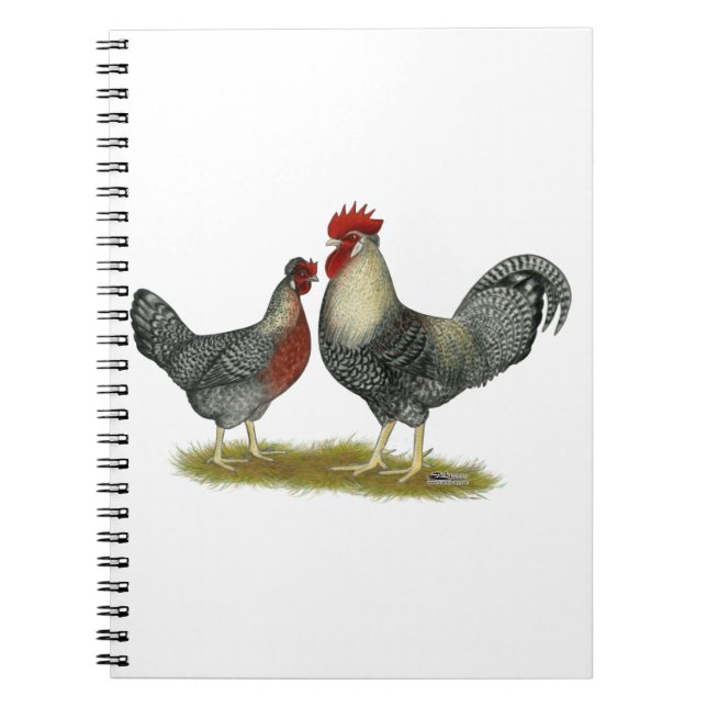 Cream Legbar Chickens Notebook (Front)