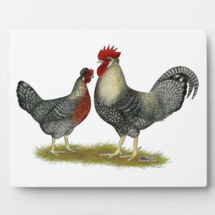 Cream Legbar Chickens Plaque