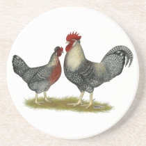 Cream Legbar Chickens Sandstone Coaster
