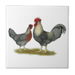 Cream Legbar Chickens Tile