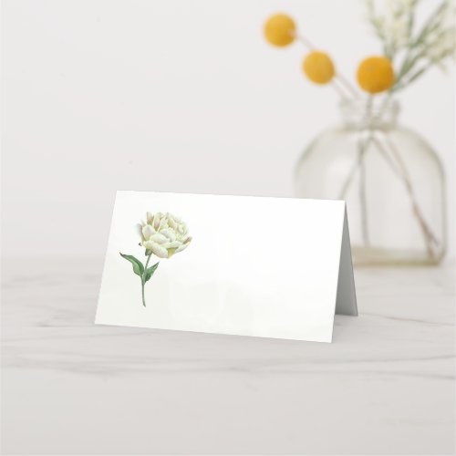 Cream Peony Place Cards