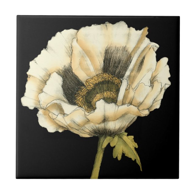 Cream Poppy Flower on Black Background Ceramic Tile (Front)