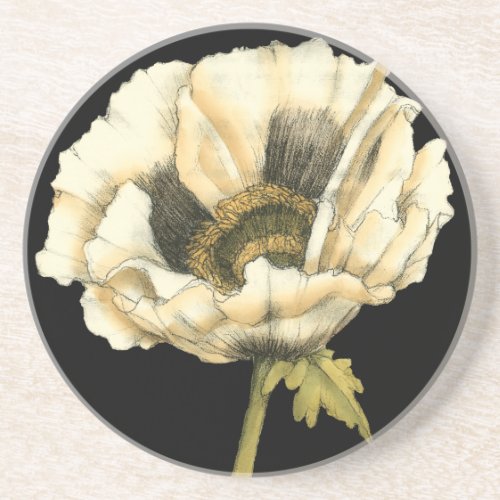 Cream Poppy Flower on Black Background Coaster