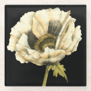 Cream Poppy Flower on Black Background Glass Coaster
