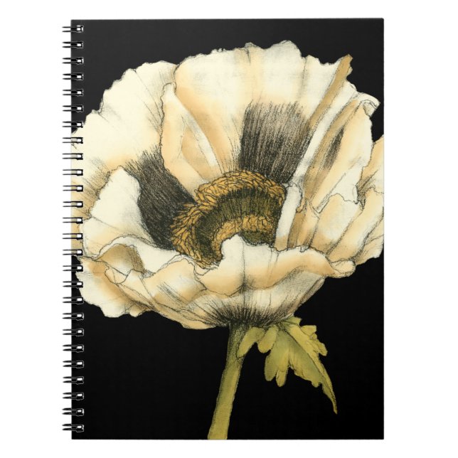 Cream Poppy Flower on Black Background Notebook (Front)
