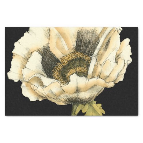 Cream Poppy Flower on Black Background Tissue Paper