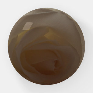 Cream Rose Dome Paperweight