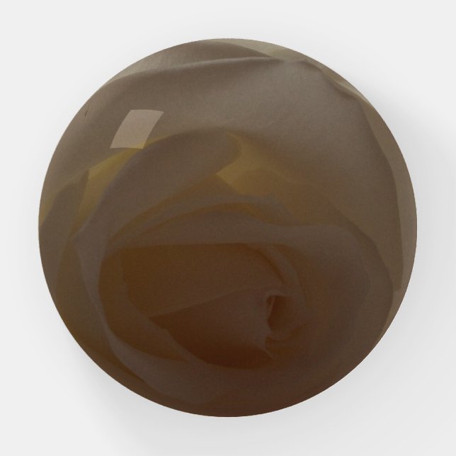 Cream Rose Dome Paperweight (Front)