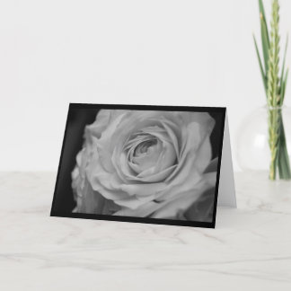 Cream Rose in Black & White Thank You Card