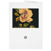 cream rose on black cards (Back)
