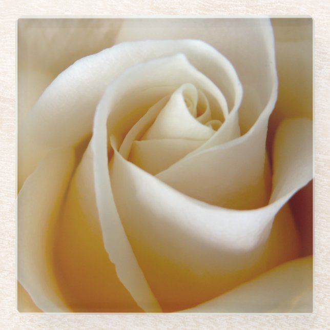 Cream Rose Wedding Photo Glass Coaster (Front)