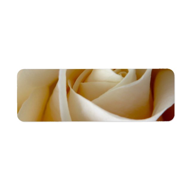 Cream Rose Wedding Photo Label (Front)