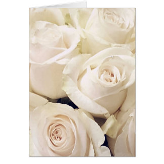 Cream Roses Cards